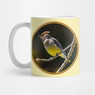 Cedar Waxwing - Original Photograph Mug